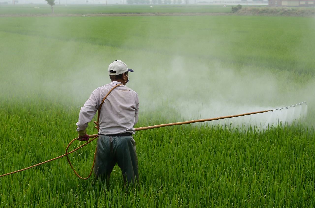 pesticide, roundup, monsanto, glyphosate, Elena Blum