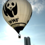 ONG, lobby, environnement, lobbies environnementaux, WWF