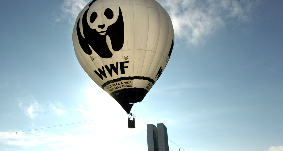 ONG, lobby, environnement, lobbies environnementaux, WWF