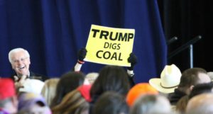 maxime zimmermann populistes environnement