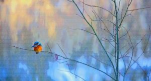 Estonie, présidence estonienne, logo, Elena Blum