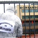 Monsanto, Round up, glyphosate, Elena Blum