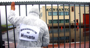 Monsanto, Round up, glyphosate, Elena Blum