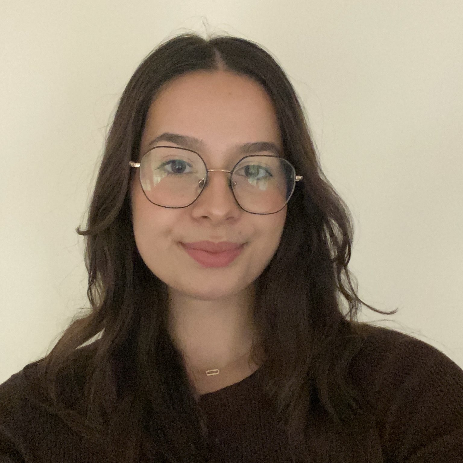 65a10cba-ce93-4033-8440-fae15b9a425a